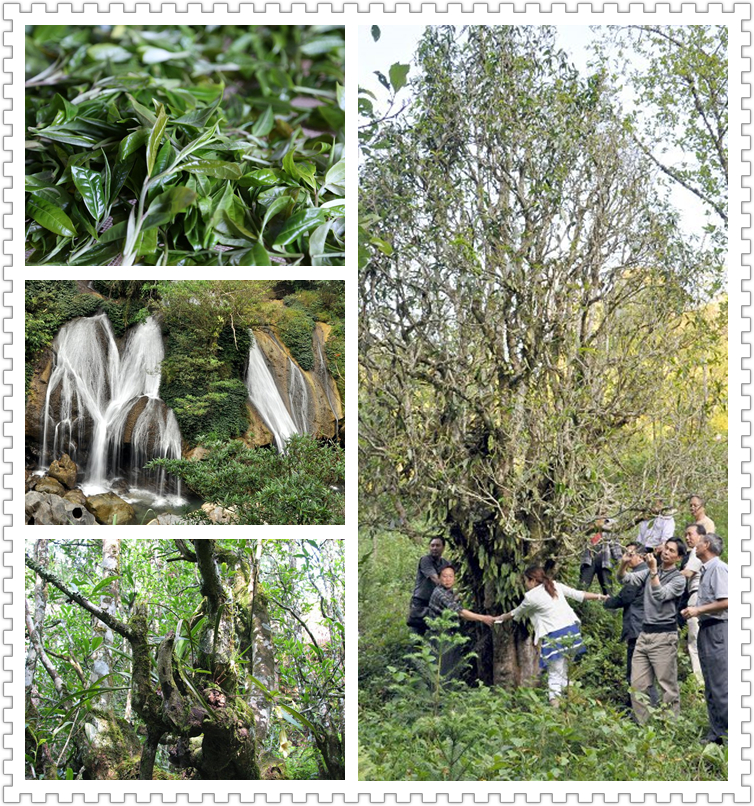 5fd97bd37b4ec.jpg 201506290938571331_副本.jpg