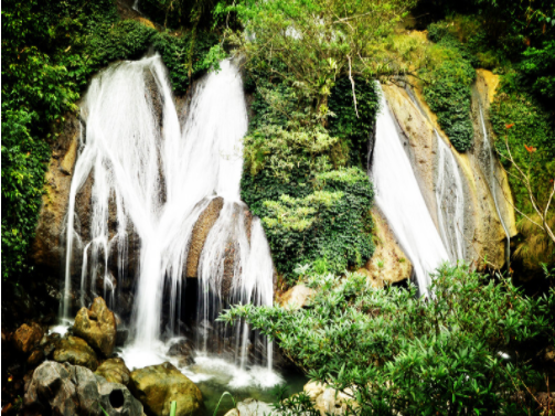 5fdafff917f30.png image.png