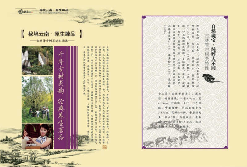 6057f61f109af.png image.png