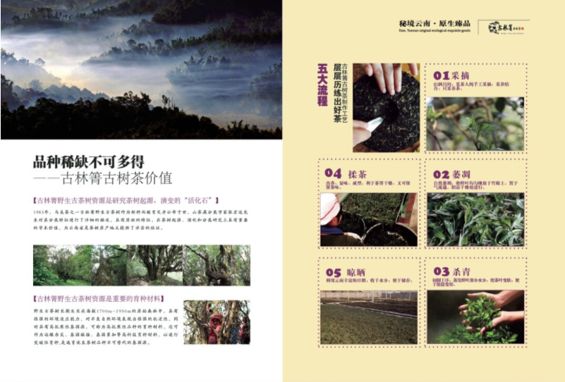 6057f633ba125.png image.png