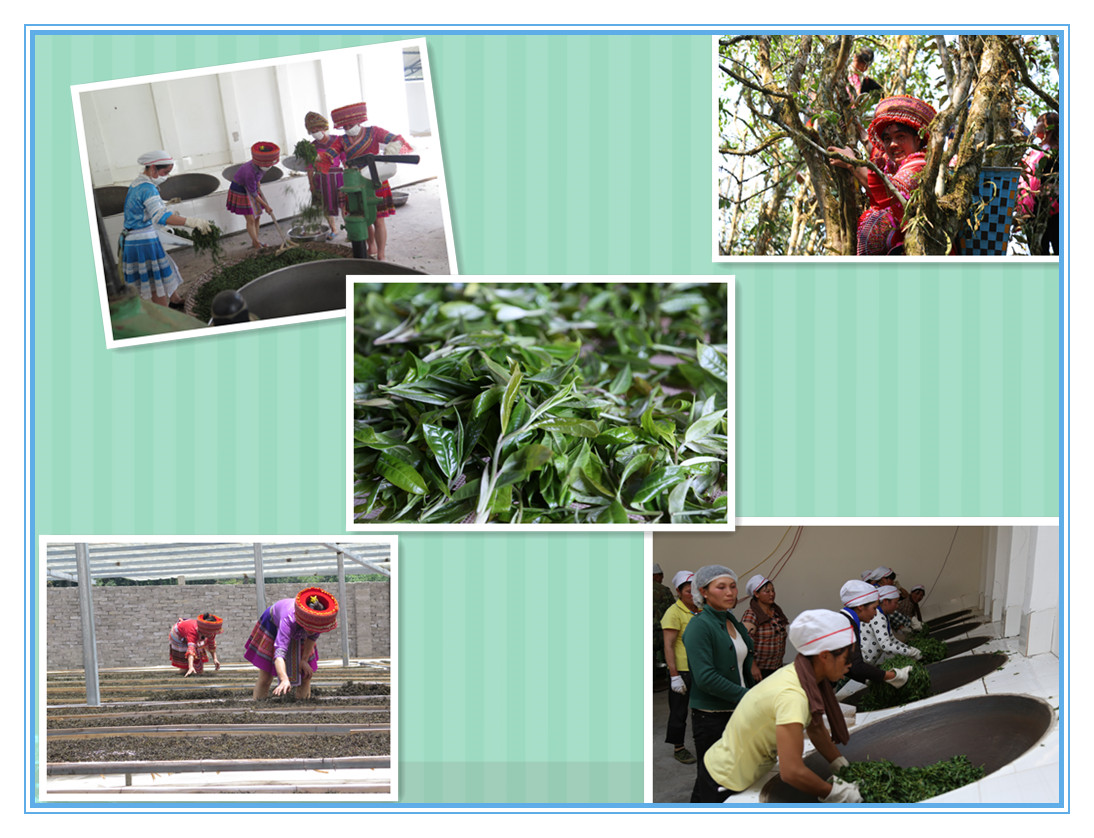 605d88b6c34d0.jpg 413A6753_副本.jpg